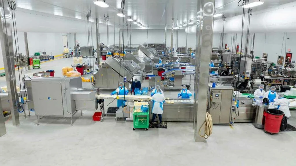 Alpine Slicing & Cheese Conversion - Production room