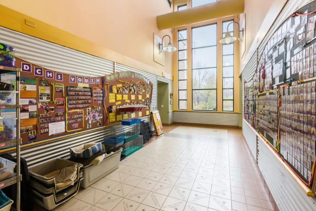 Dane County Humane Society - End-wall windows