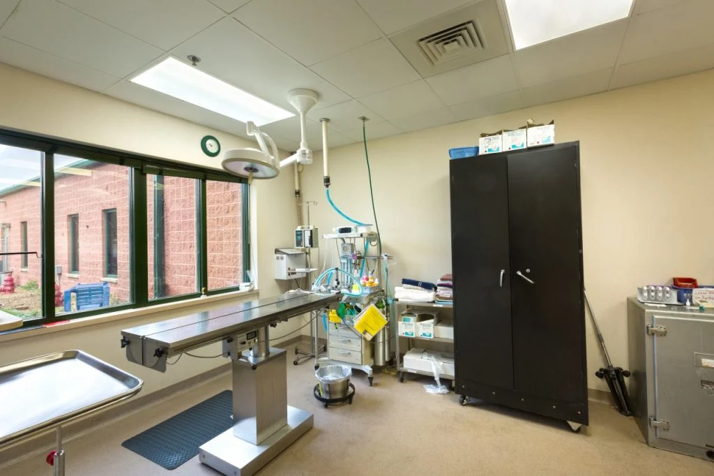 Dane County Humane Society - Exam and surgical room