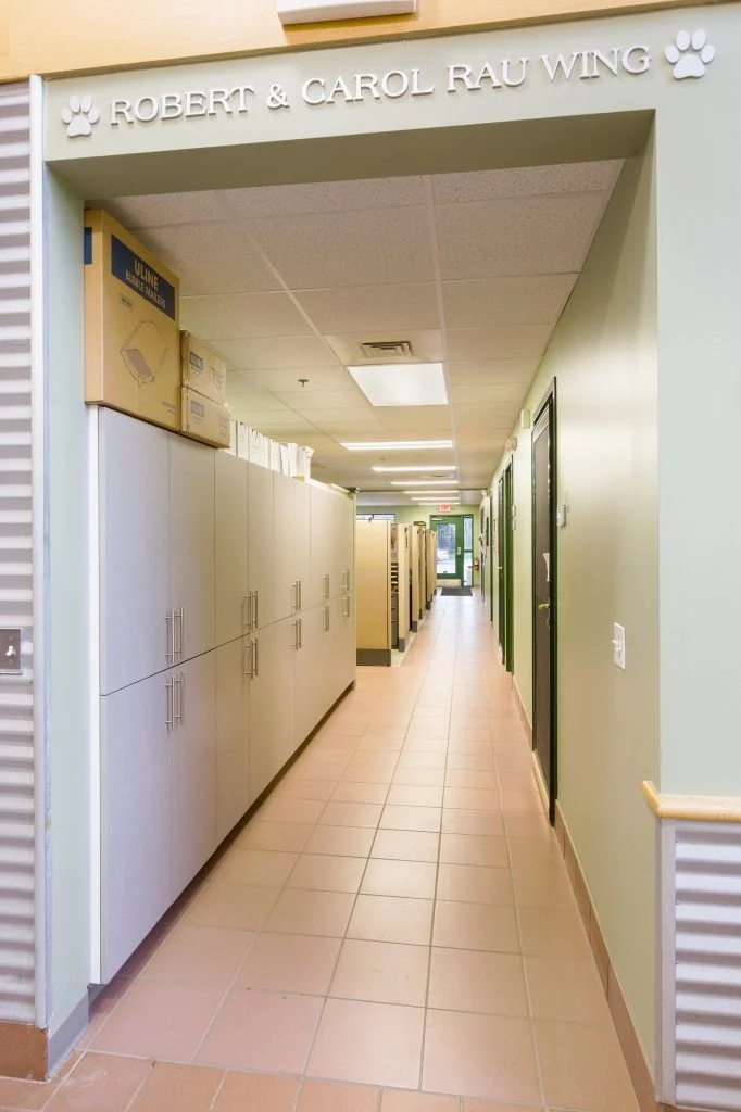 Dane County Humane Society - Hallway to offices