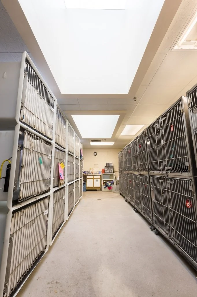 Dane County Humane Society - Stainless steel cages