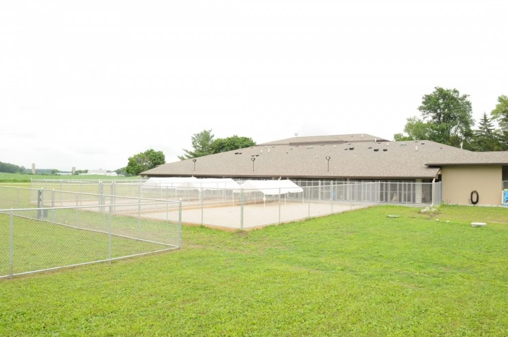 Humane Society of Jefferson County - Back of building with fenced dog runs