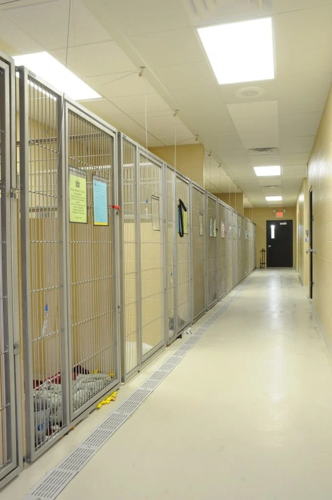 Humane Society of Jefferson County - Dog kennels with epoxy floor