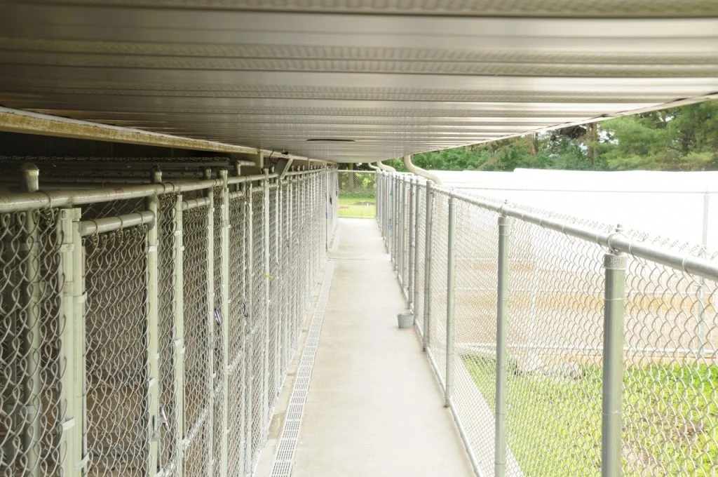 Humane Society of Jefferson County - Outdoor dog kennels