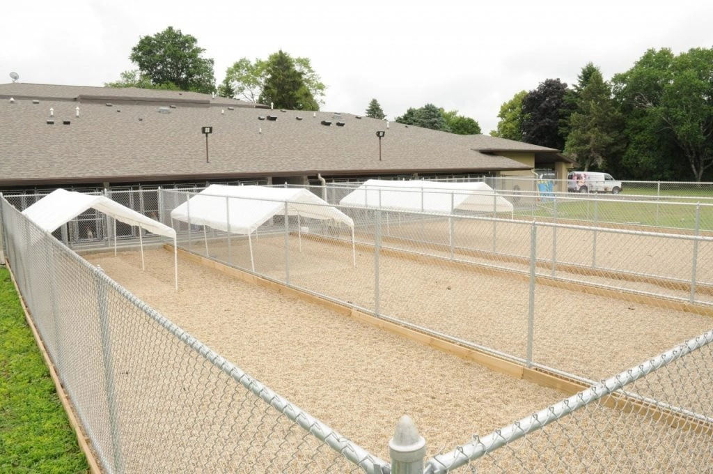 Humane Society of Jefferson County - Outdoor dog runs