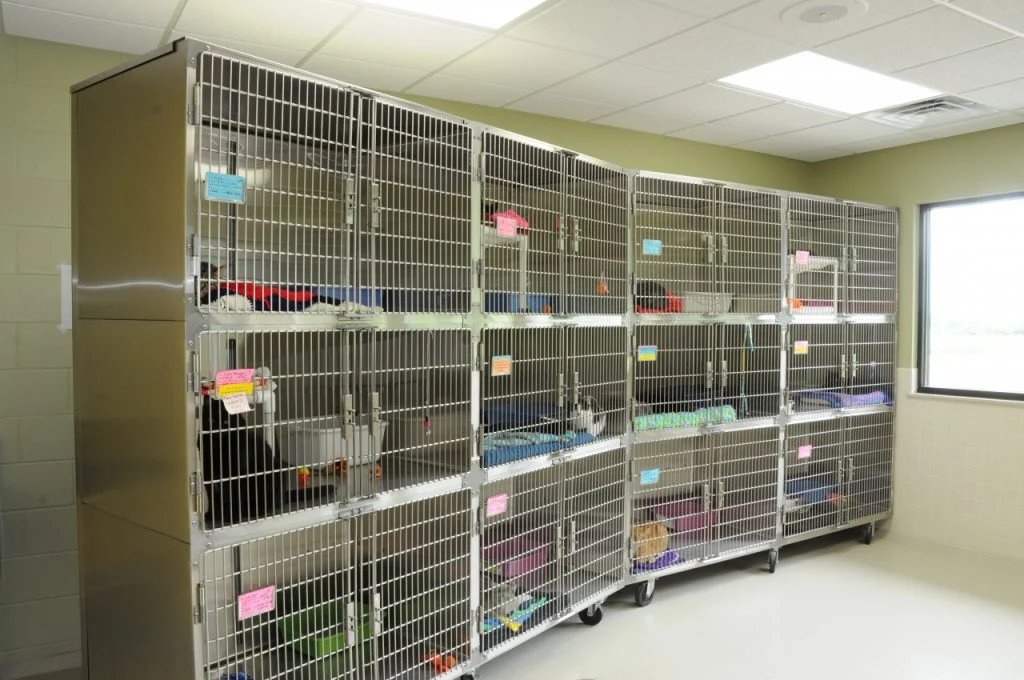 Humane Society of Jefferson County - Quarantine and isolation area