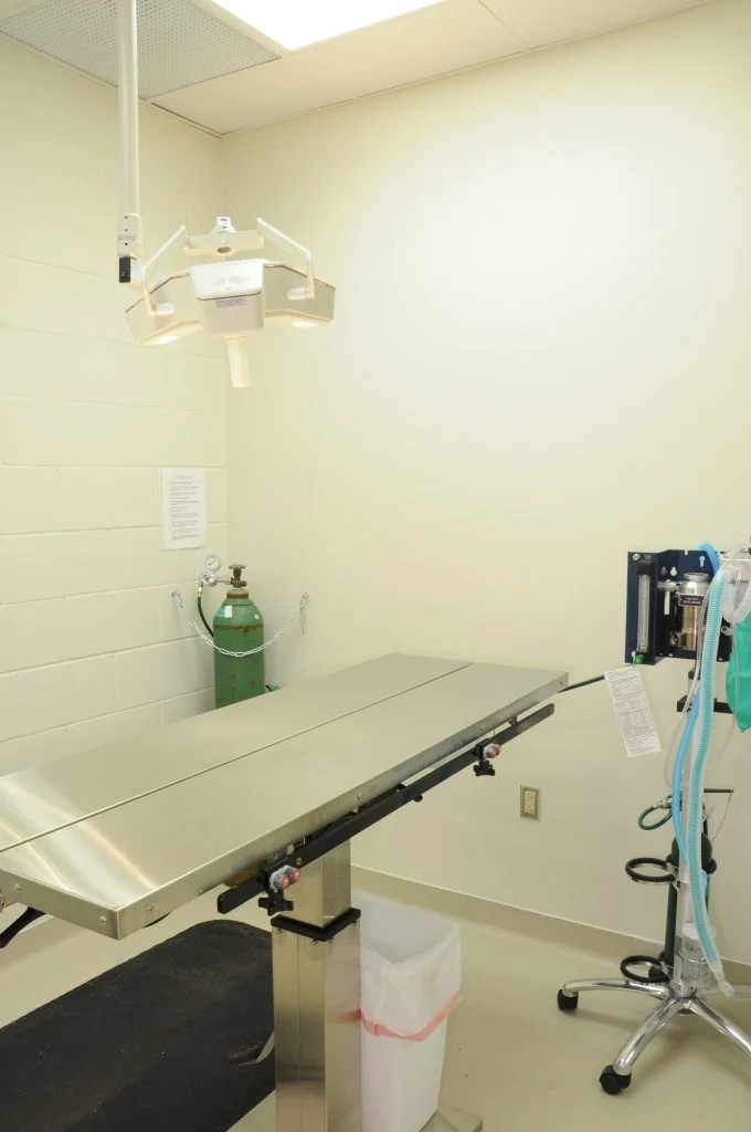 Humane Society of Jefferson County - Surgery room