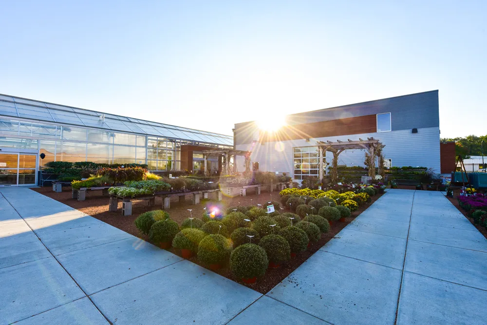 Klein’s Floral & Greenhouses external