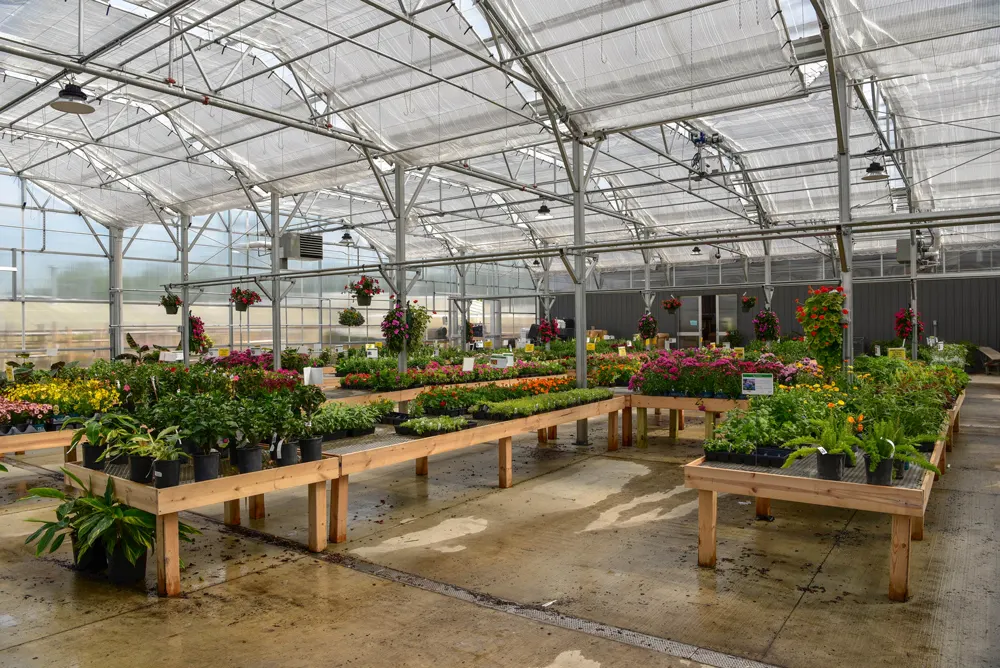 Klein’s Floral & Greenhouses internal
