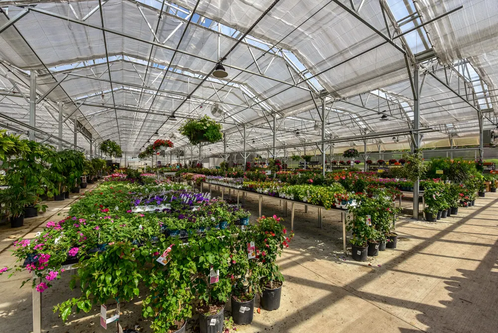 Klein’s Floral & Greenhouses internal