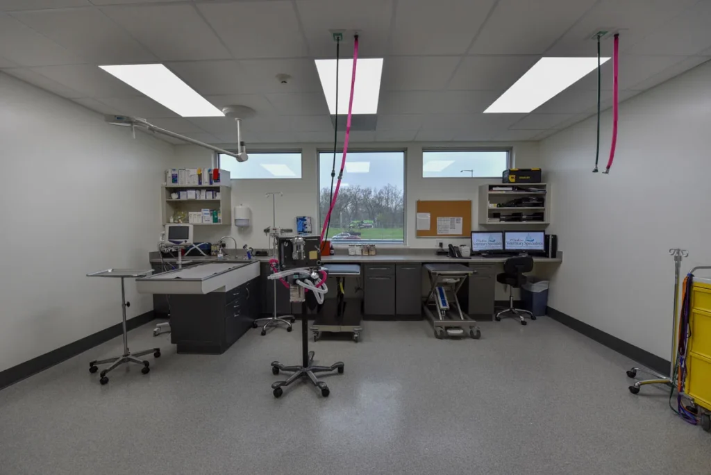 Madison Veterinary Specialists room